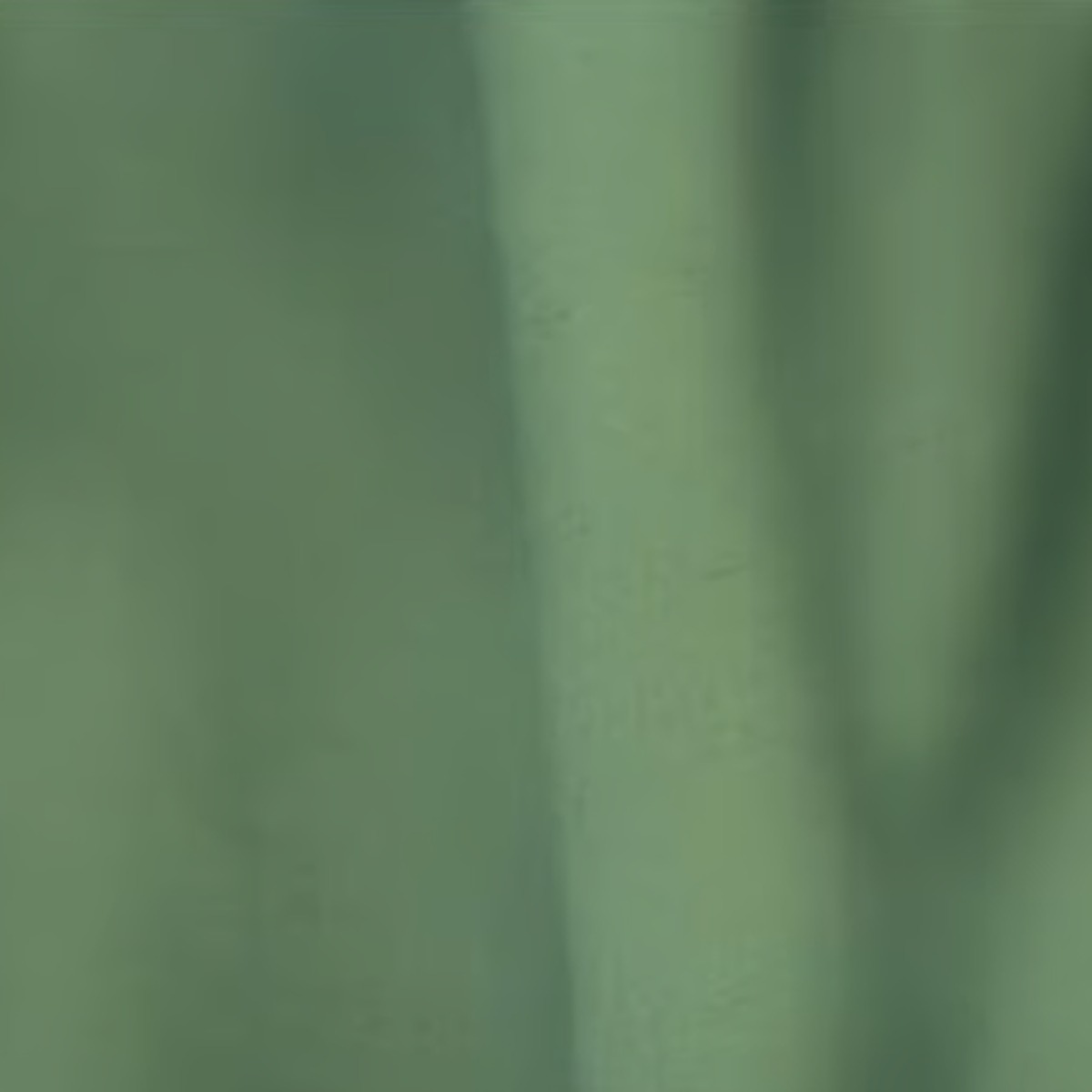 Seaweed metallic epoxy pigment